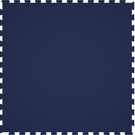PaviFlex Blue